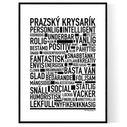 Prazský Krysarík Poster