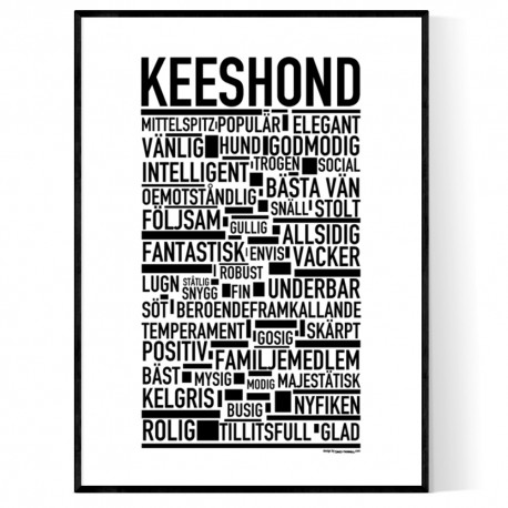 Keeshond Poster