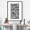 Siames Poster