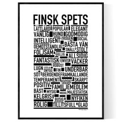 Finsk Spets Poster