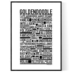 Goldendoodle Poster