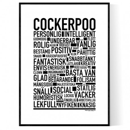 Cockerpoo Poster