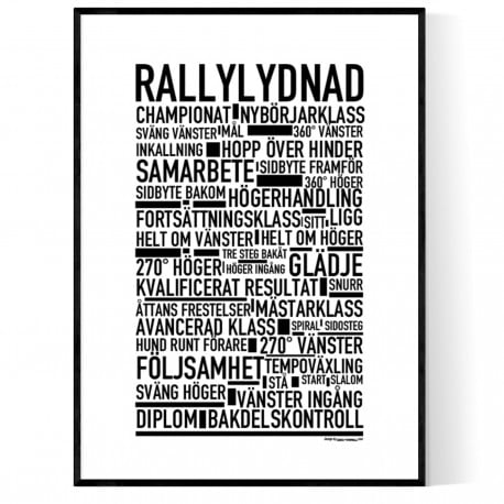 Rallylydnad Poster