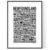 Newfoundland Poster