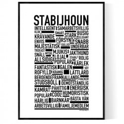 Stabijhoun Poster
