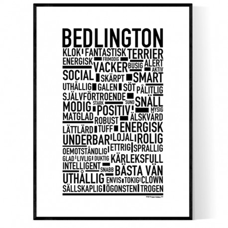 Bedlington Terrier Poster