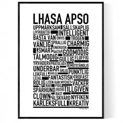 Lhasa Apso Poster