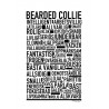 Bearded Collie Poster