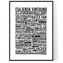 Italiensk Vinthund Poster