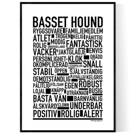 Basset Hound Poster