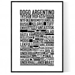 Dogo Argentino Poster