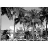 DTP Miami Hotels