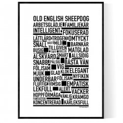 Old English Sheepdog Poster