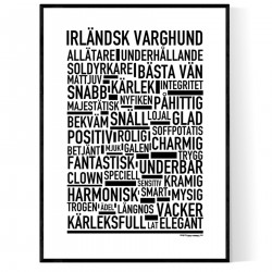 Irländsk Varghund Poster