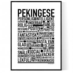 Pekingese Poster