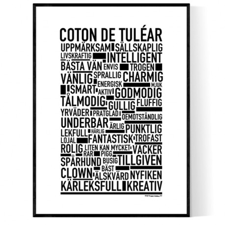 Coton De Tuléar Poster