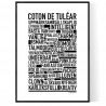Coton De Tuléar Poster