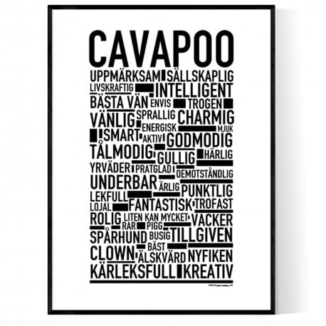 Cavapoo Poster
