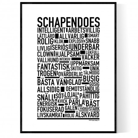 Schapendoes Poster