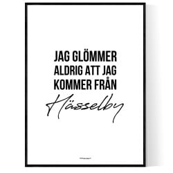 Från Hässelby