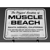 DTP Muscle Beach