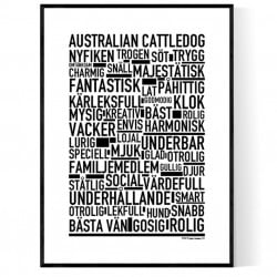 Australian Cattledog Poster