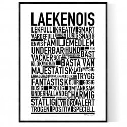 Laekenois Poster