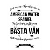 Livet Med American Water Spaniel