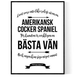 Livet Med Amerikansk Cocker Spaniel