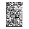 Welsh Sheepdog Poster