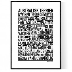 Australisk Terrier Poster