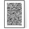 Clumber Spaniel Poster