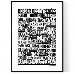 Berger Des Pyrénées Poster