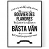 Livet Med Bouvier Des Flandres