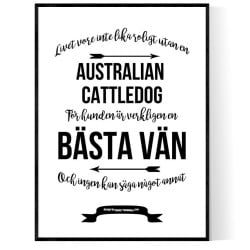 Livet Med Australian Cattledog