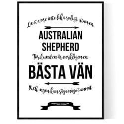 Livet Med Australian Shepherd