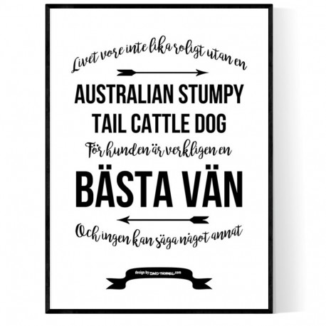 Livet Med Australian Stumpy Tail Cattle Dog