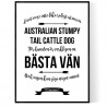 Livet Med Australian Stumpy Tail Cattle Dog