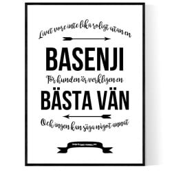 Livet Med Basenji