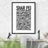 Shar Pei Poster