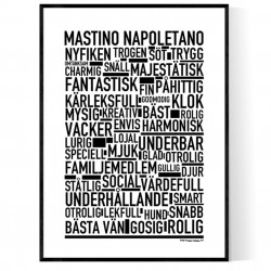 Mastino Napoletano Poster