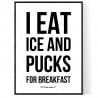 Ice And Pucks Poster