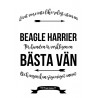 Livet Med Beagle Harrier