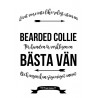 Livet Med Bearded Collie