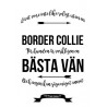 Livet Med Border Collie