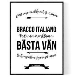 Livet Med Bracco Italiano
