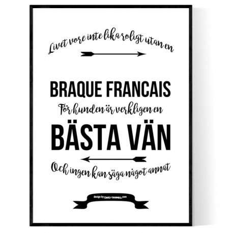 Livet Med Braque Francais