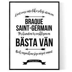 Livet Med Braque Saint-Germain