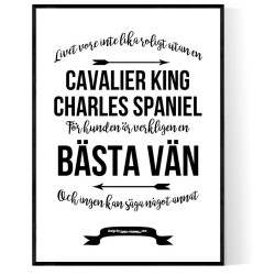 Livet Med Cavalier King Charles Spaniel