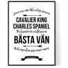 Livet Med Cavalier King Charles Spaniel
